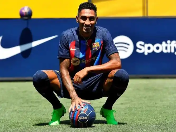 洲賽場上的 洲賽場上的