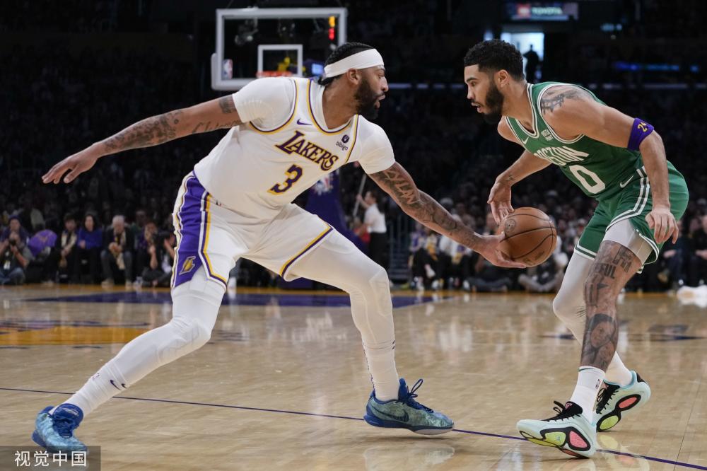 他们所给出 他们所给出