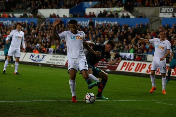 意大利仍无 意大利仍无